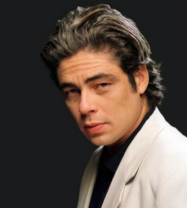 Benicio Del Toro